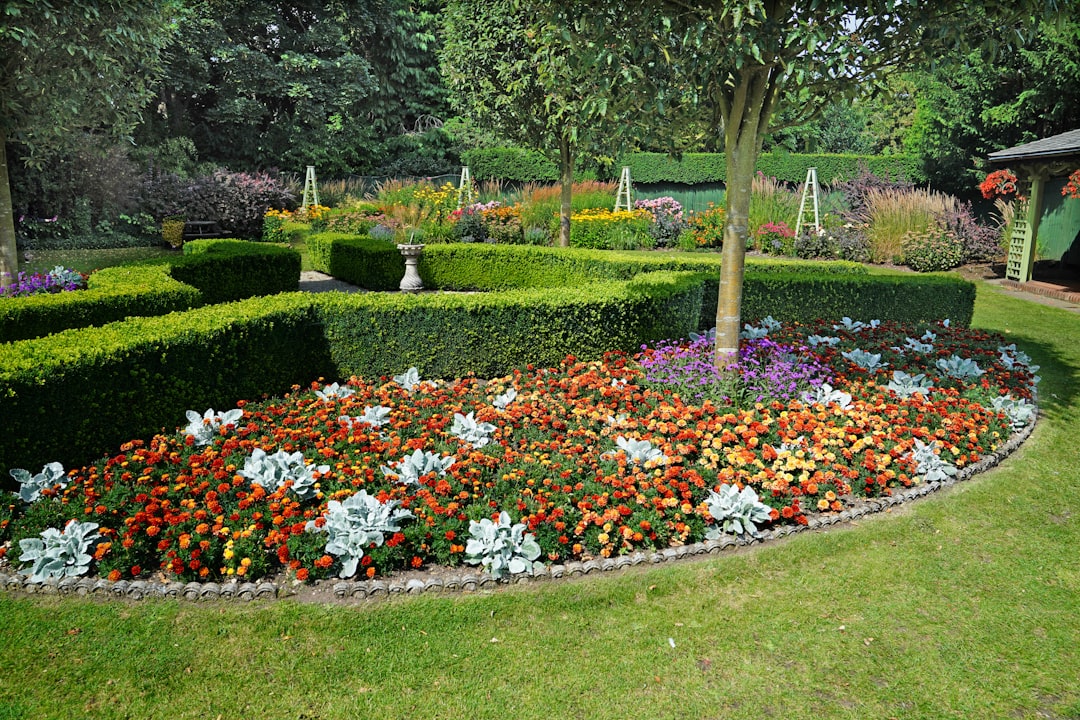 Potager en automne avec sol préparé et engrais verts semés